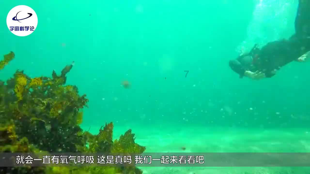 疯狂快车手无限能量-汇集知识问答,快速解答疑惑